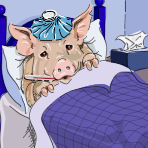 swine-flu swine-flu